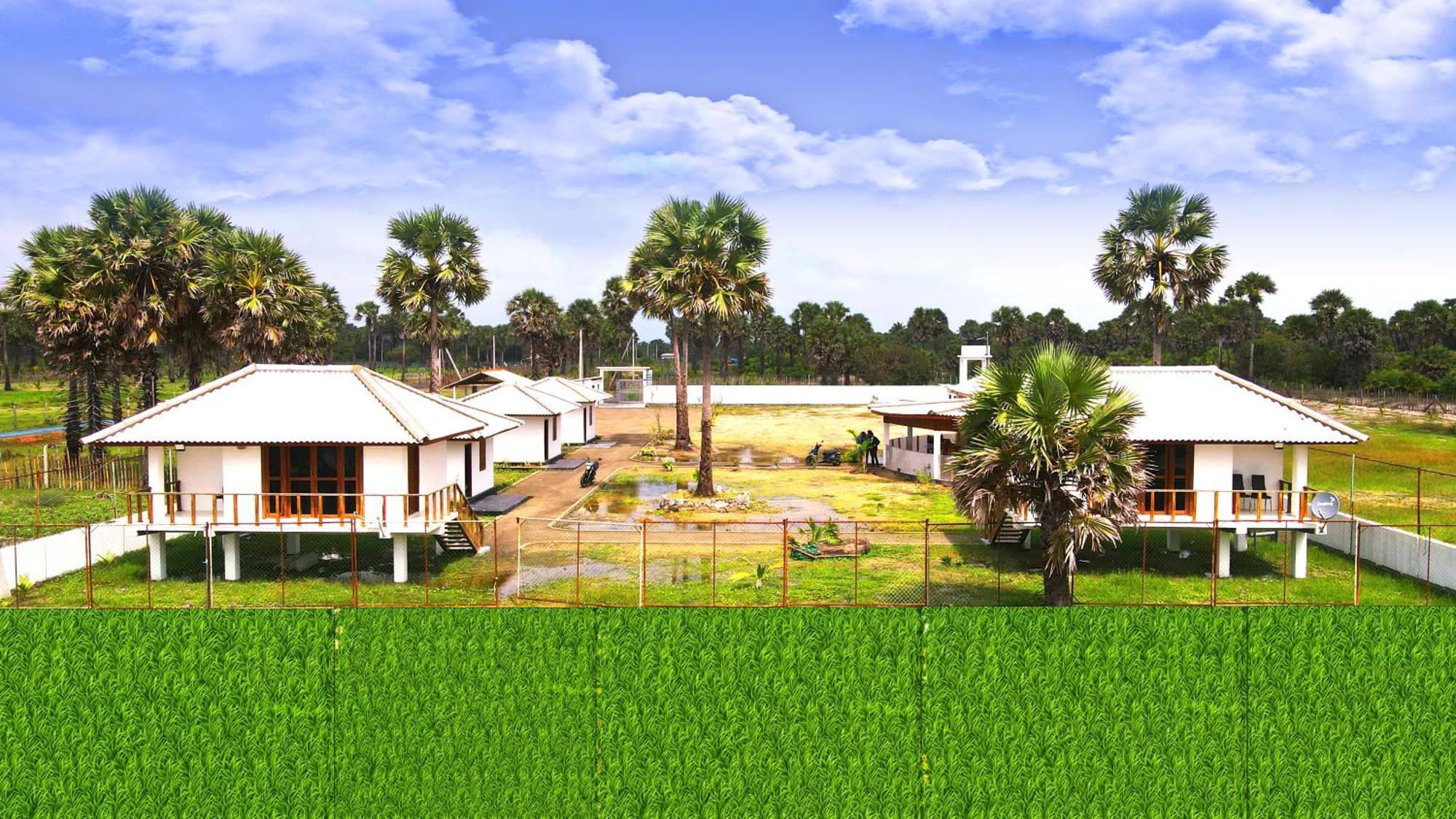 Palm Beach Resort Ceylon Jaffna Dış mekan fotoğraf
